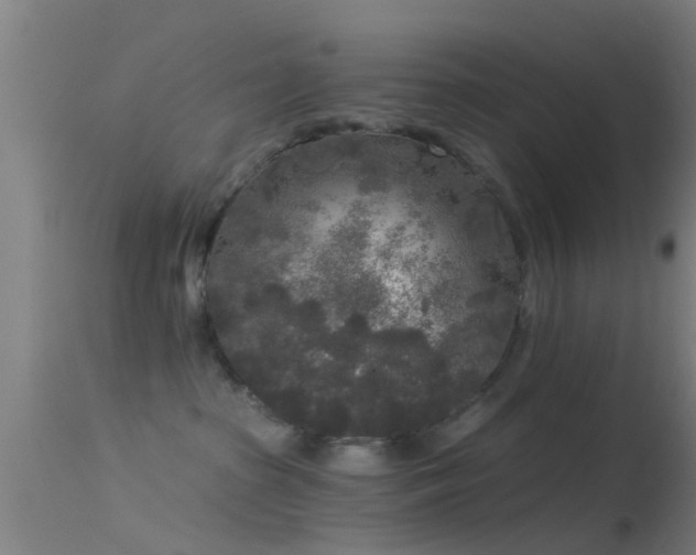 X0000114130285200910151552