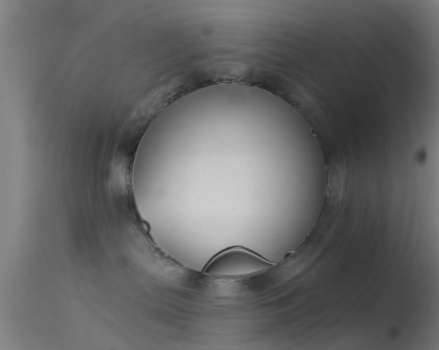 X0000114130287200910151552