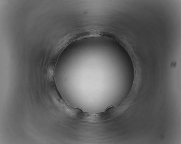 X0000114130288200910151552