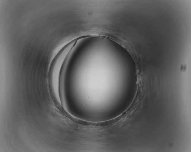 X0000114130292200910151552