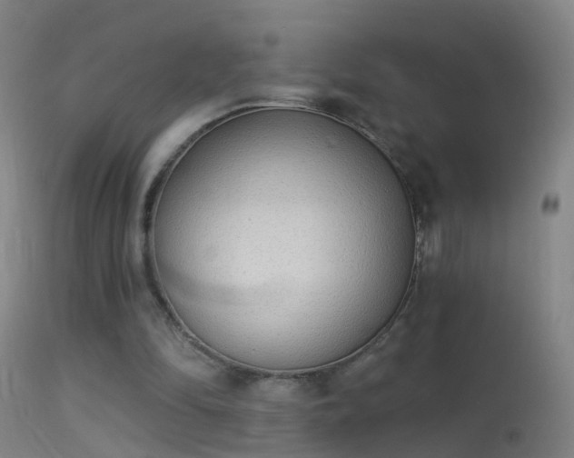 X0000114130294200910151552