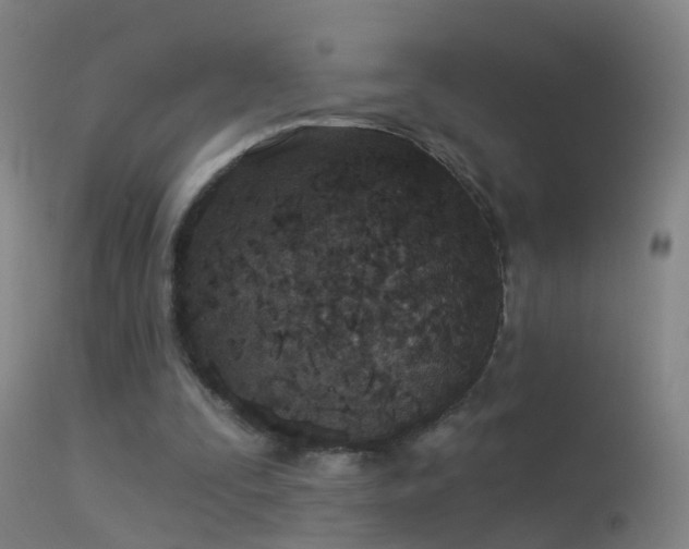 X0000114130295200910151552