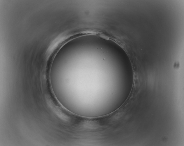 X0000114130296200910151552