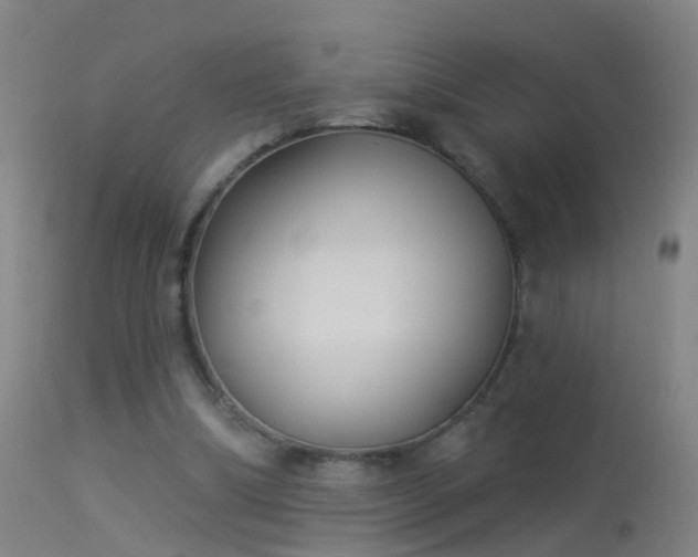 X0000114130298200910151552