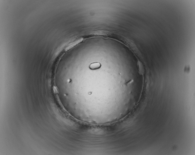 X0000114130299200910151551