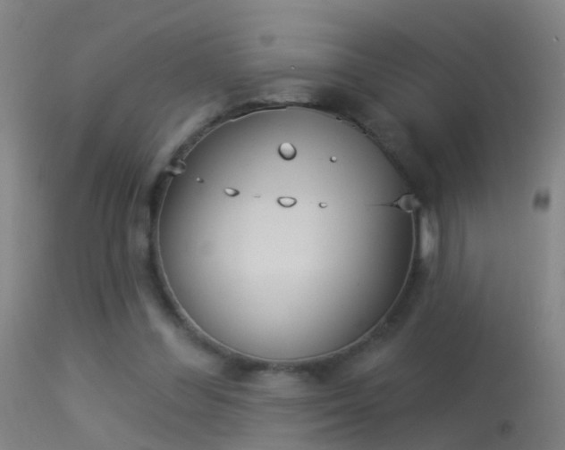 X0000114130300200910151551