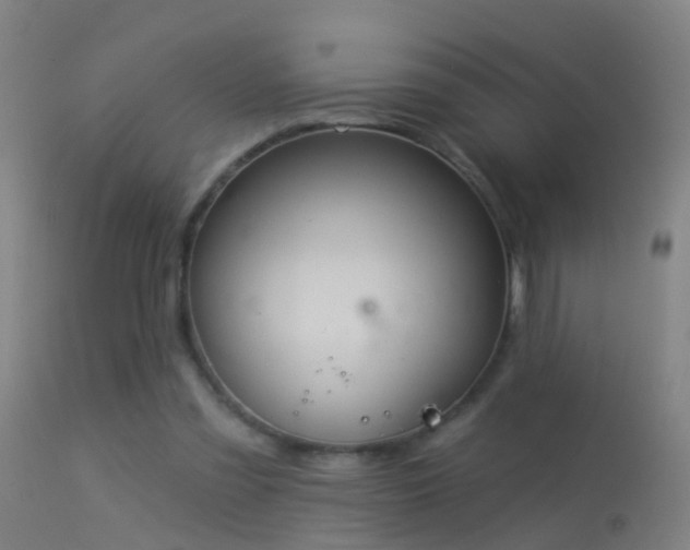 X0000114130301200910151551