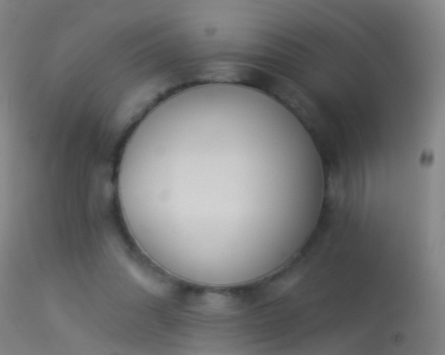 X0000114130302200910151551