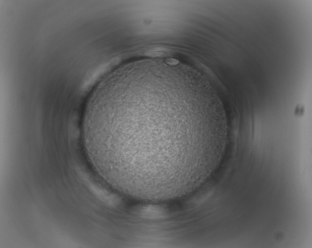 X0000114130303200910151551