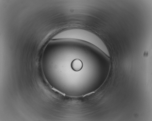 X0000114130304200910151551