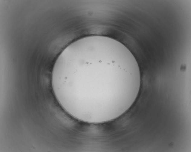 X0000114130305200910151551