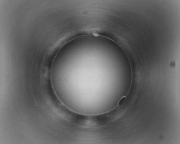 X0000114130308200910151551