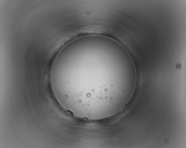 X0000114130309200910151551