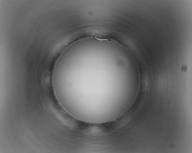 X0000114130310200910151551