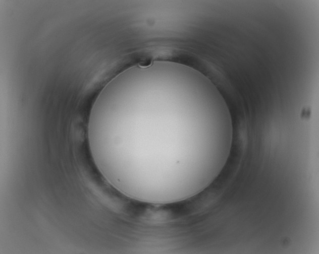 X0000114130311200910151551