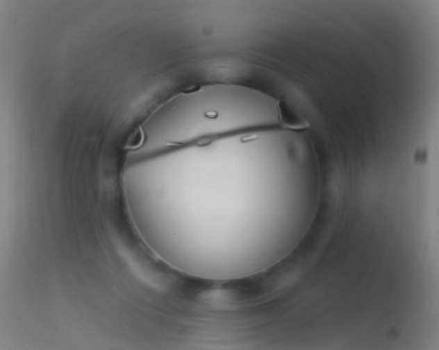 X0000114130312200910151551