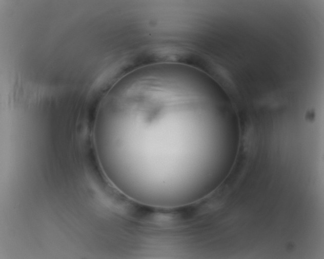 X0000114130314200910151551