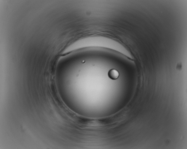 X0000114130316200910151551