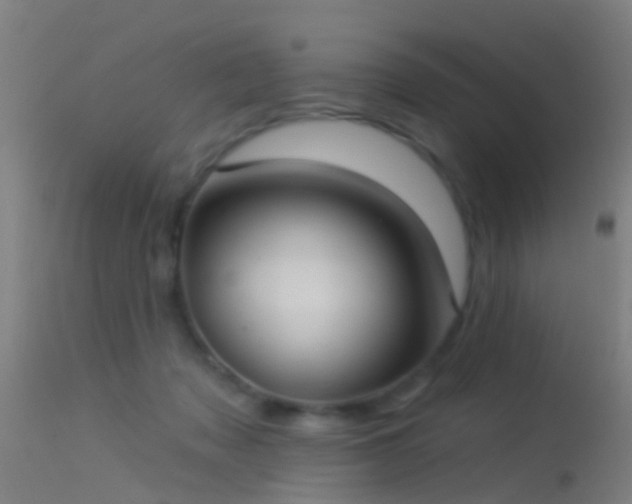 X0000114130317200910151551