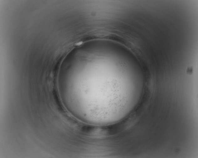 X0000114130319200910151551