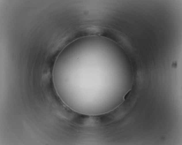 X0000114130320200910151551