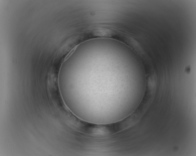 X0000114130322200910151551