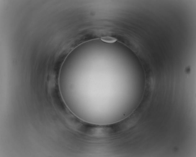 X0000114130323200910151551