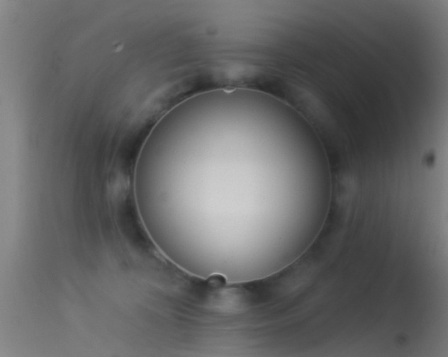 X0000114130324200910151551