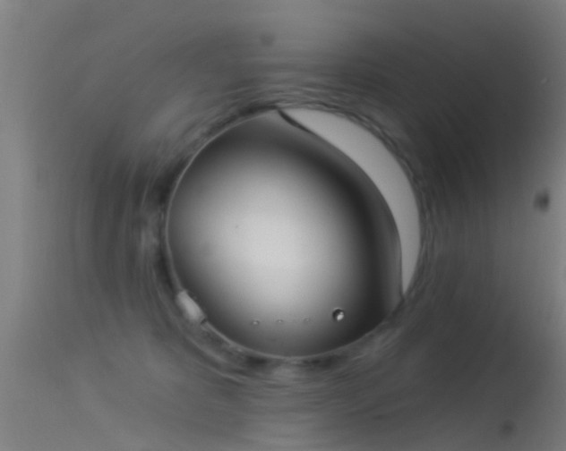 X0000114130325200910151551