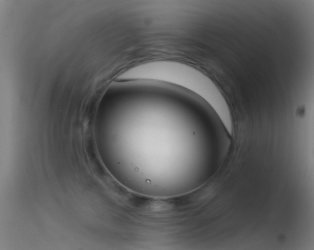 X0000114130327200910151551