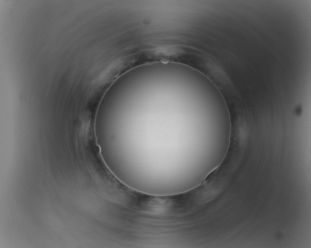 X0000114130328200910151551