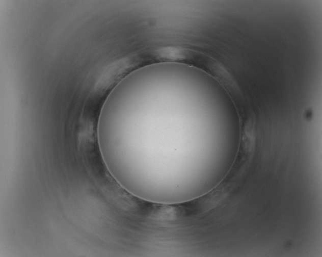 X0000114130330200910151551