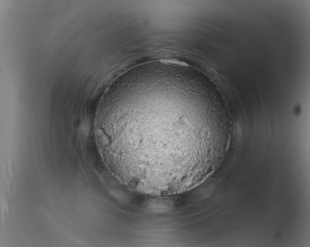 X0000114130331200910151551