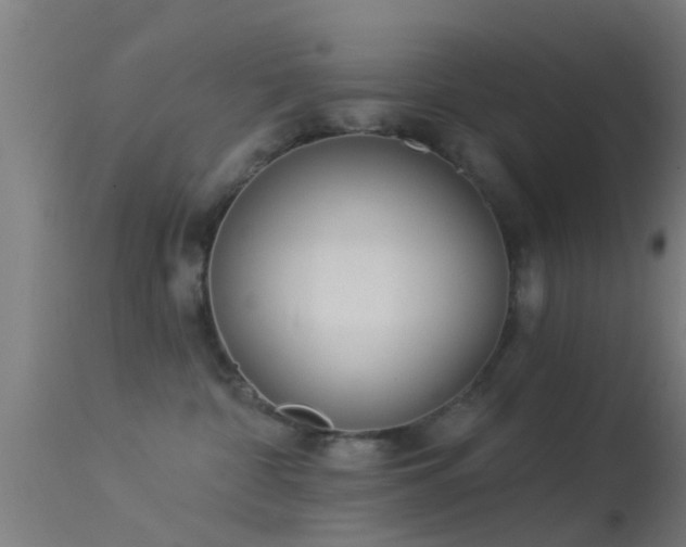 X0000114130332200910151551