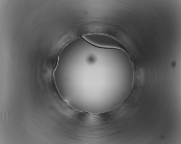 X0000114130333200910151551