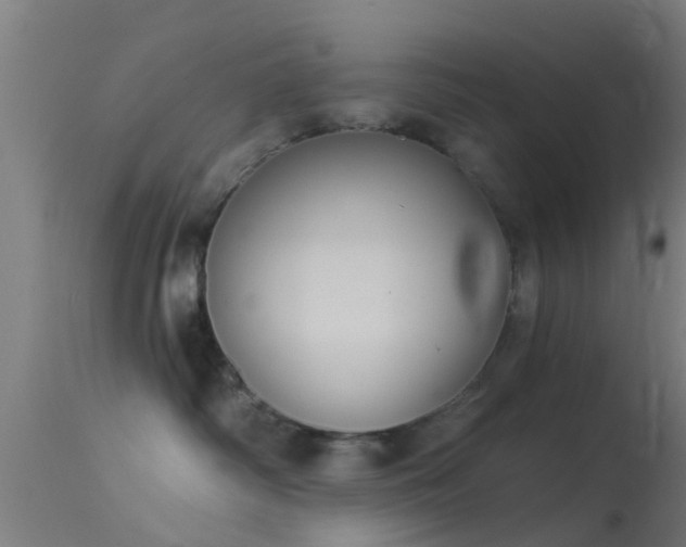 X0000114130334200910151551