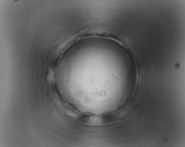 X0000114130335200910151551