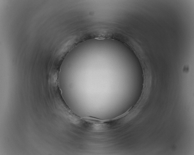 X0000114130336200910151551