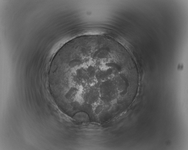 X0000114130337200910151550