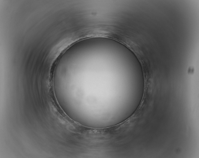 X0000114130338200910151550