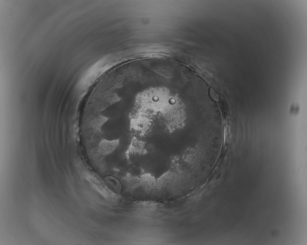 X0000114130339200910151550