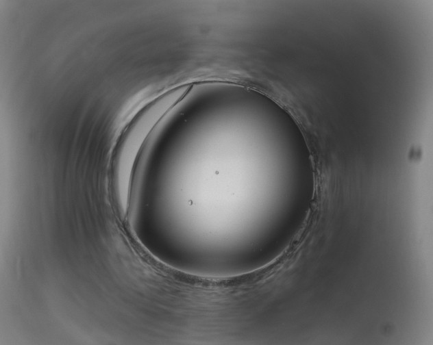 X0000114130340200910151550