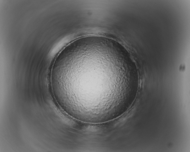 X0000114130341200910151550