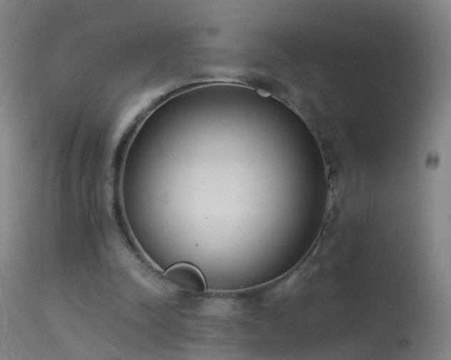 X0000114130342200910151550