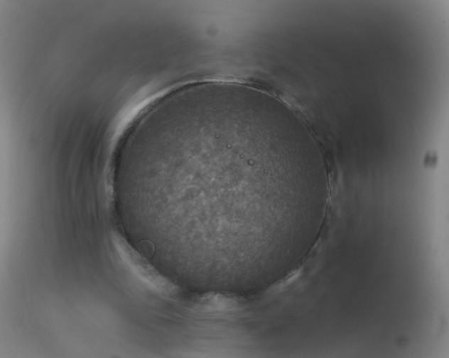 X0000114130343200910151550