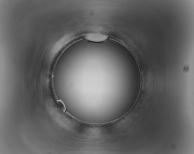 X0000114130344200910151550