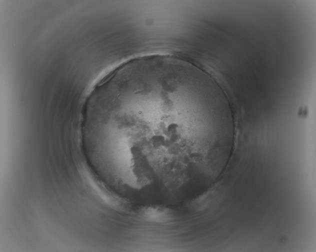 X0000114130346200910151550