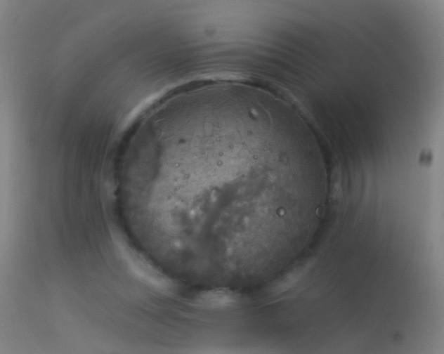 X0000114130351200910151550