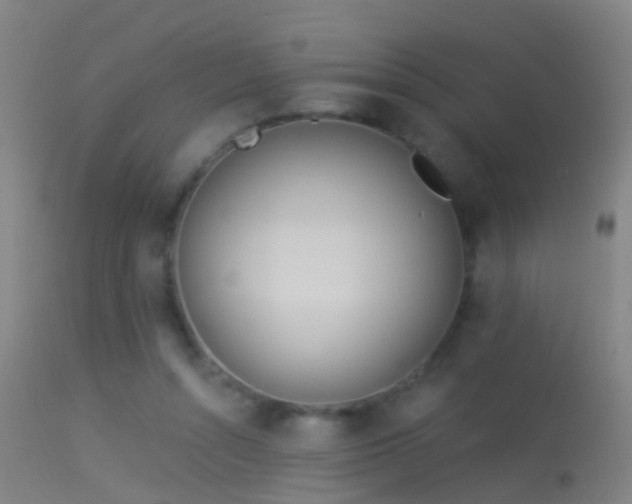 X0000114130352200910151550