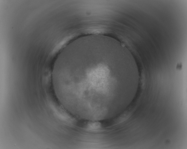 X0000114130355200910151550